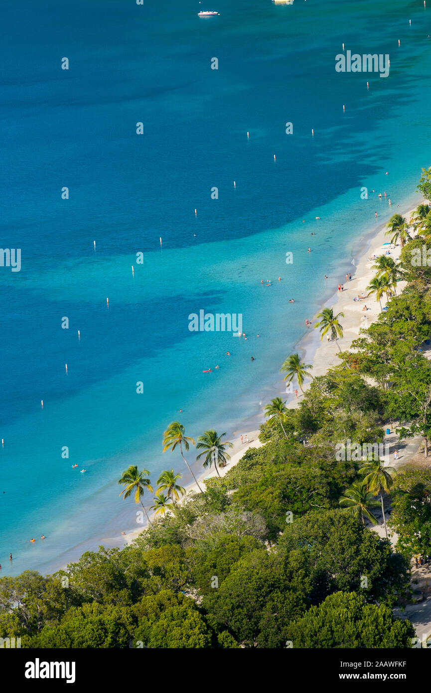 Aerial view of palm trees growing at Magens bay beach, St. Thomas, US Virgin islands Stock Photo