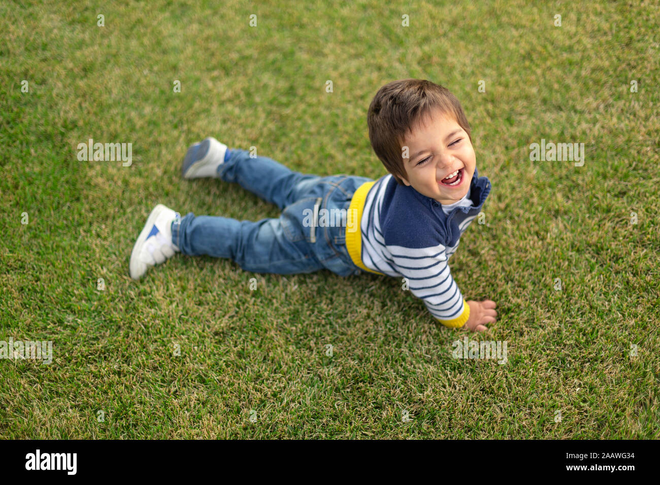 Portrait of laughing little boy lying on lawn Stock Photo