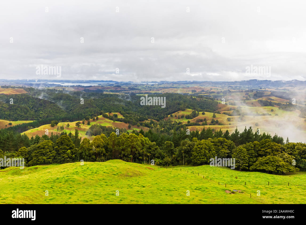 Scenic view of green landscape against cloudy sky at Oceania, New Zealand Stock Photo