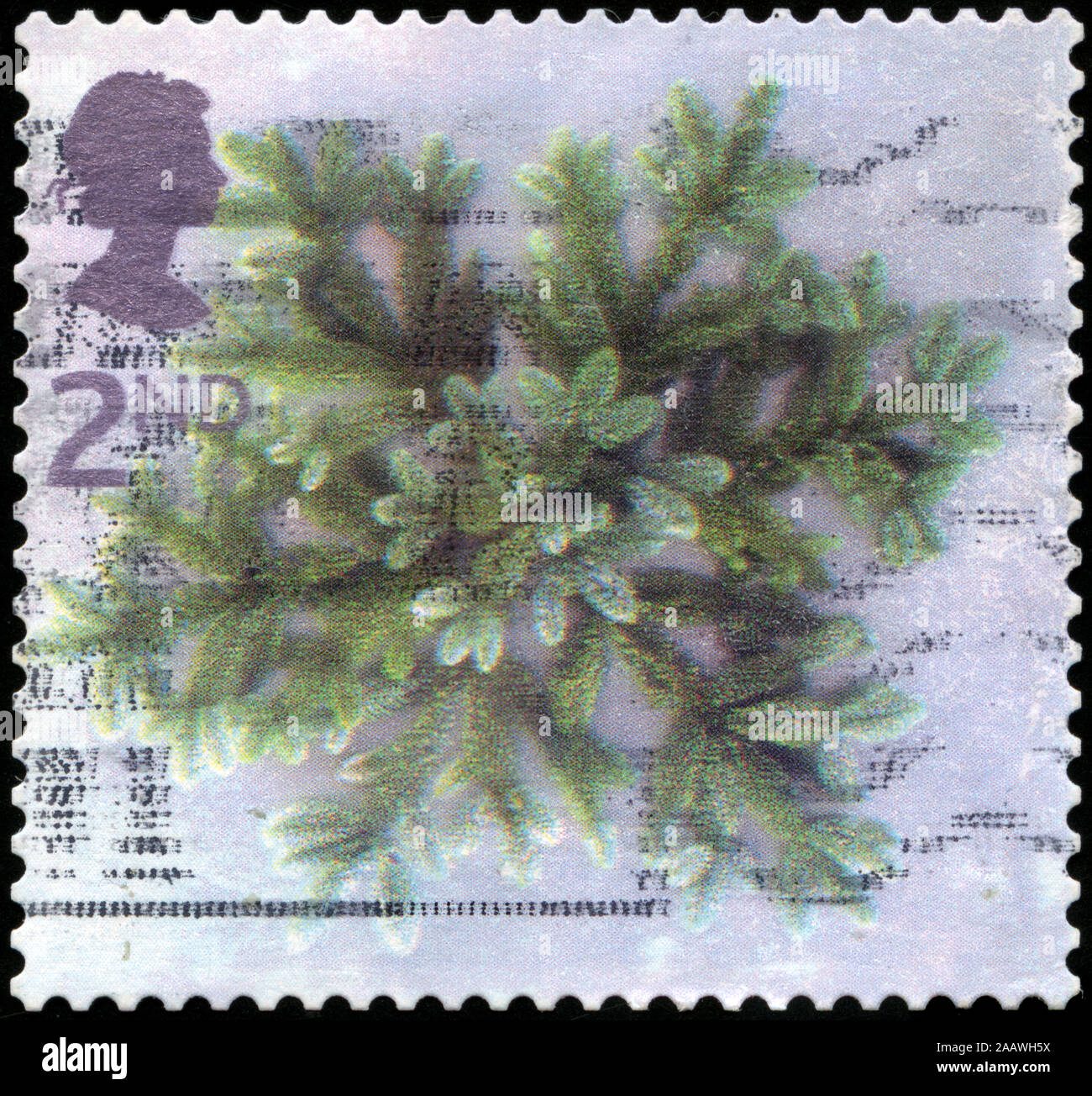 Postmarked stamp from the United Kingdom of Great Britain and Northern Ireland in the Christmas 2002 series Stock Photo