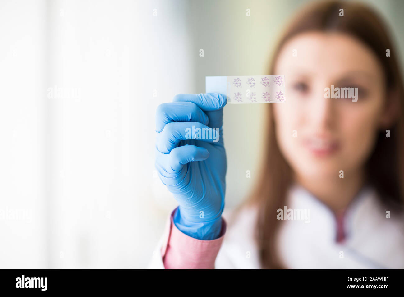 Young woman looking at samples while working in modern laboratory Stock Photo