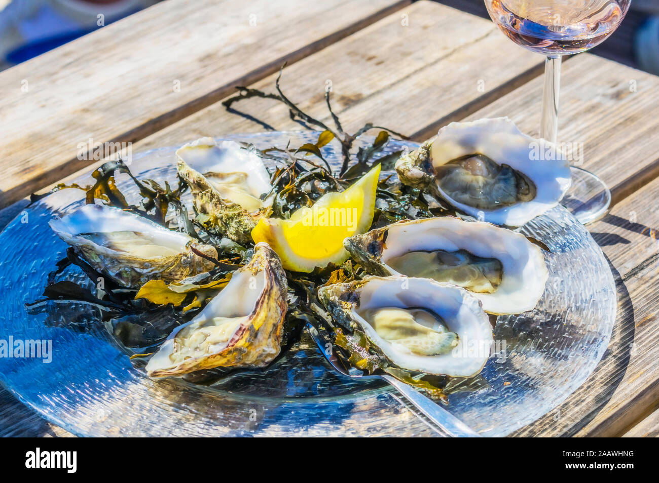 Netherlands, Zeeland, Yerseke, Fine de Claire oysters Stock Photo