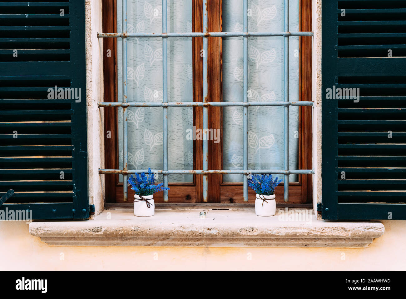 Two pots with blue blossoms on a window sill outdoors Stock Photo