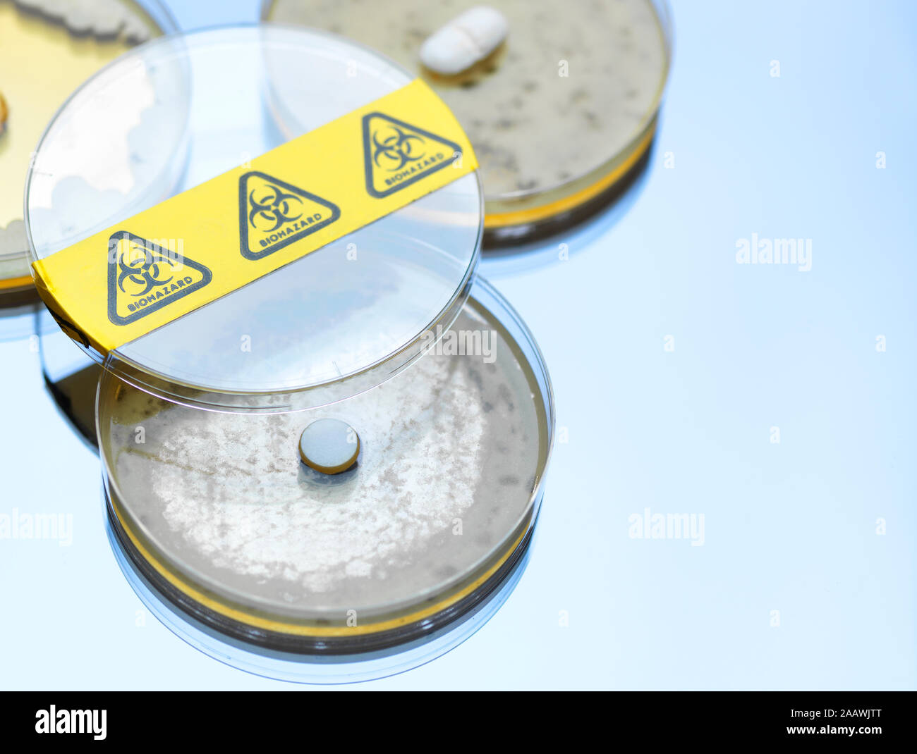 High angle view of drugs testing in petri dishes at laboratory Stock Photo