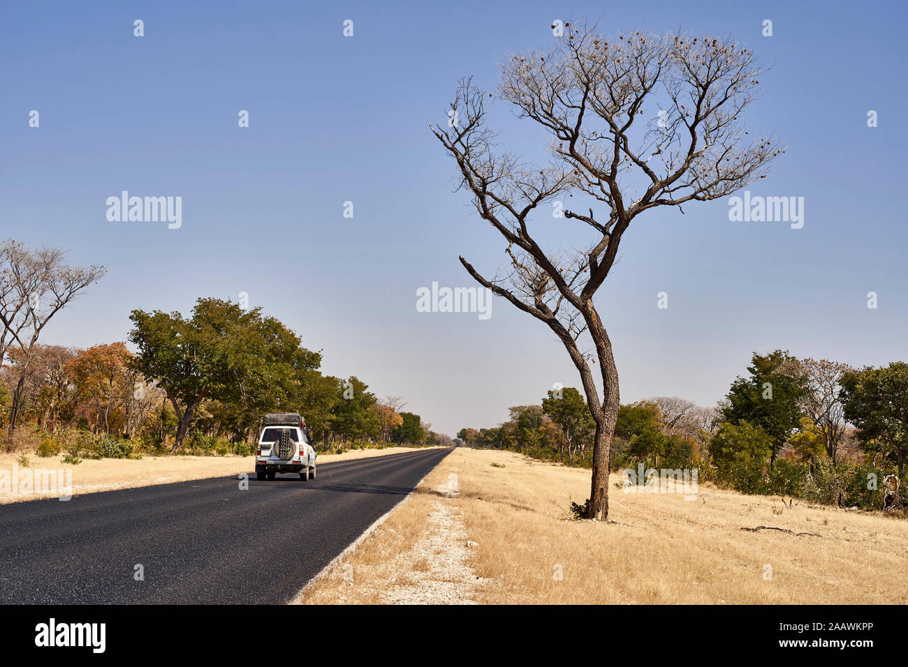 Car moving on road against clear sky at Caprivi strip, Namibia Stock Photo