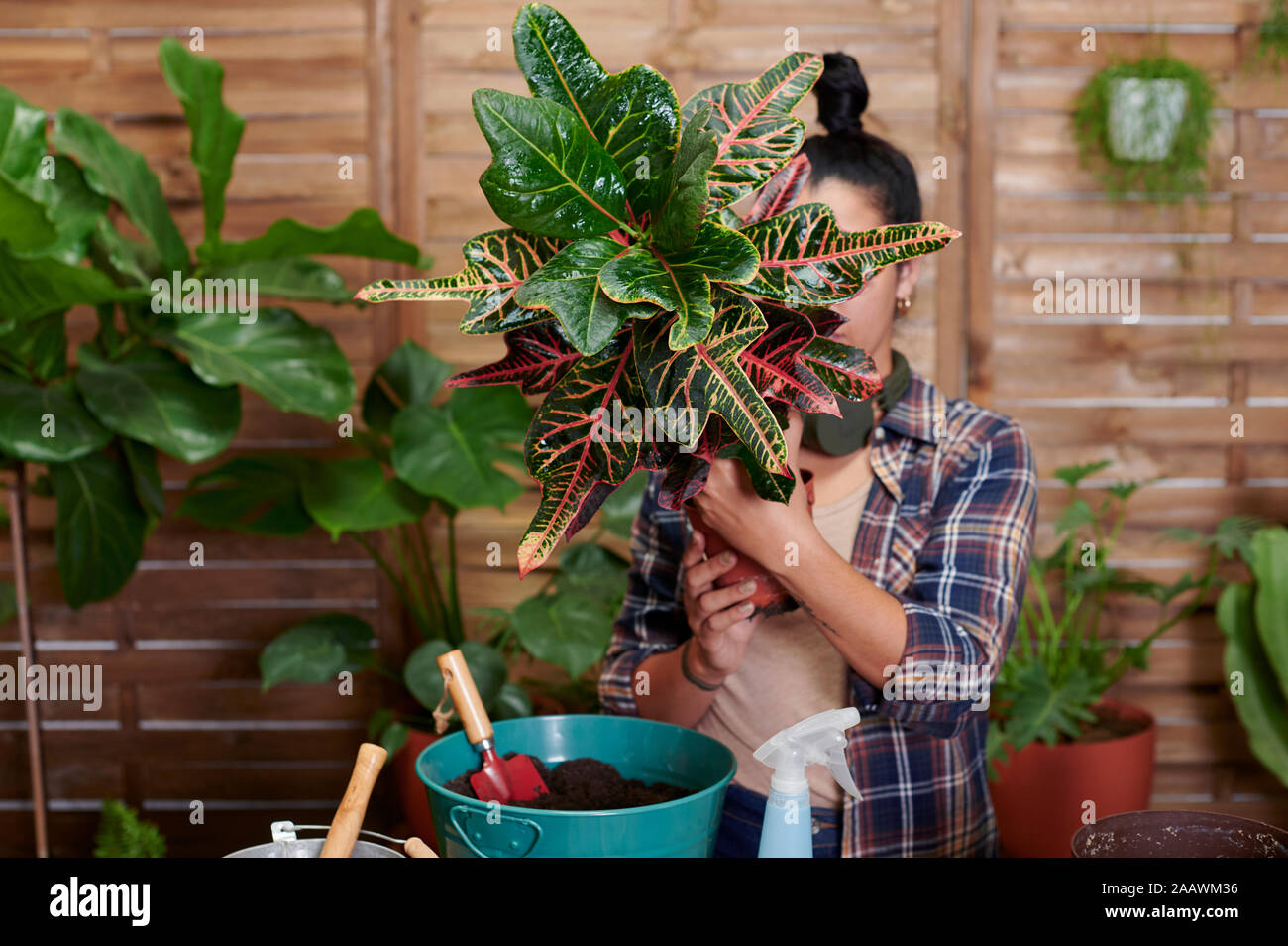 Young woman gardening on her terrace Stock Photo