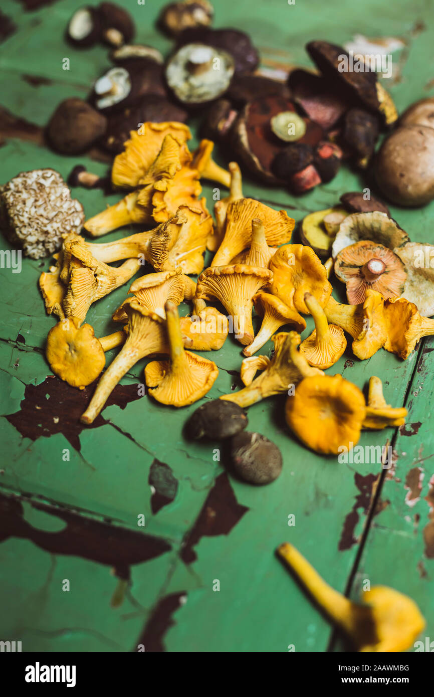 High angle view of various mushrooms on wooden table Stock Photo