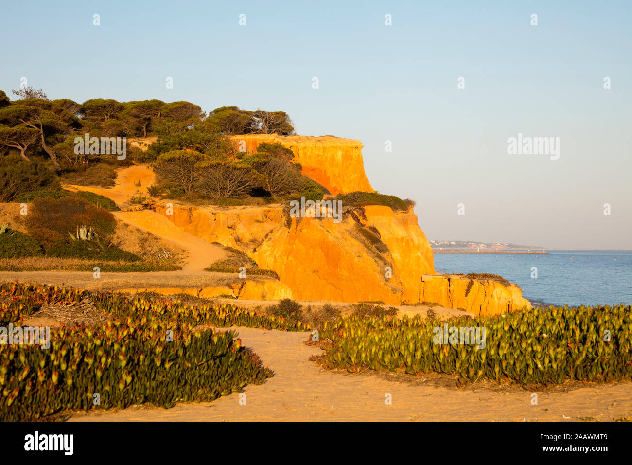 Rocky sandstone coast during sunset, Algarve, Portugal Stock Photo
