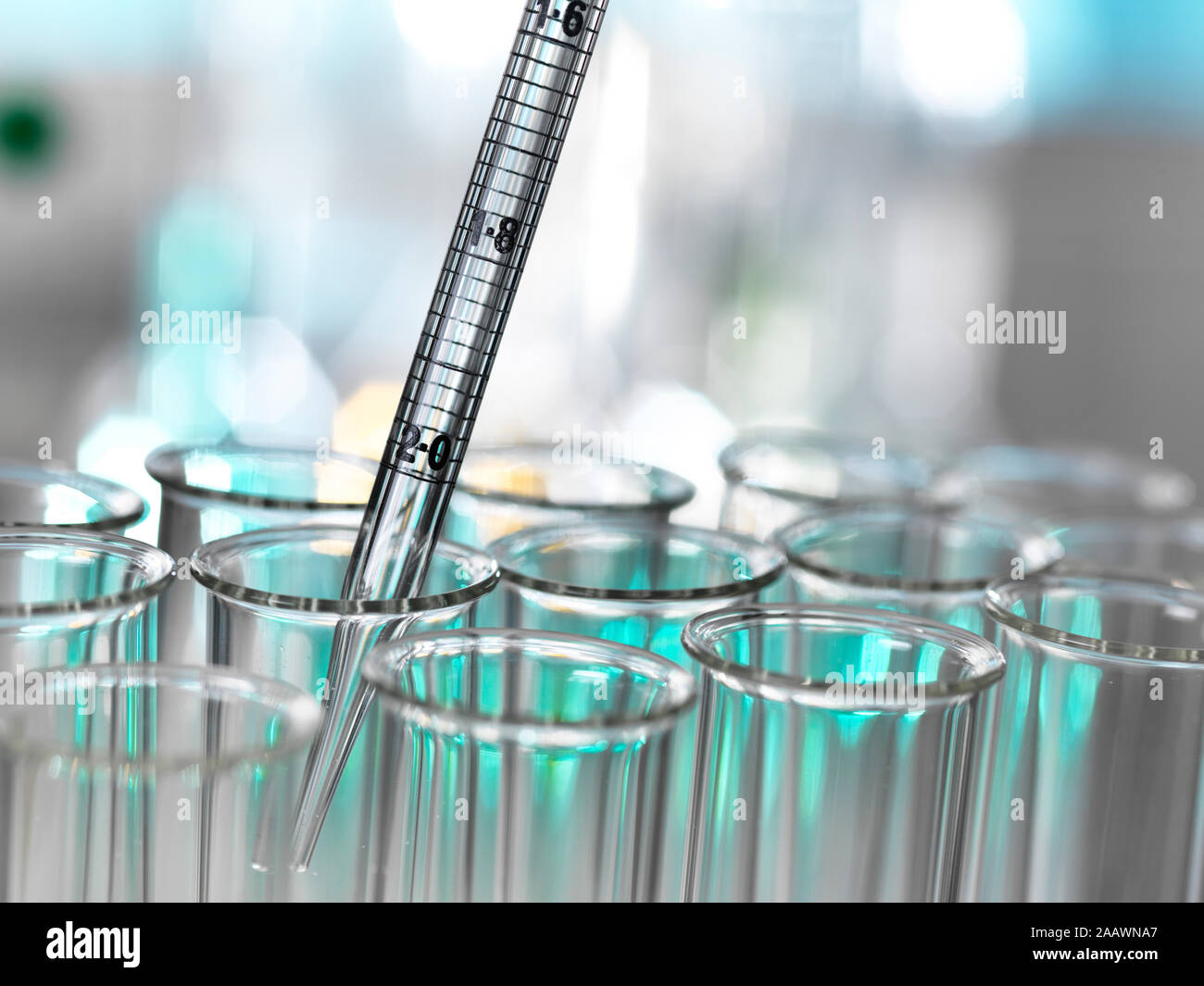 Medical samples pipetting in test tube for experiment at laboratory Stock Photo