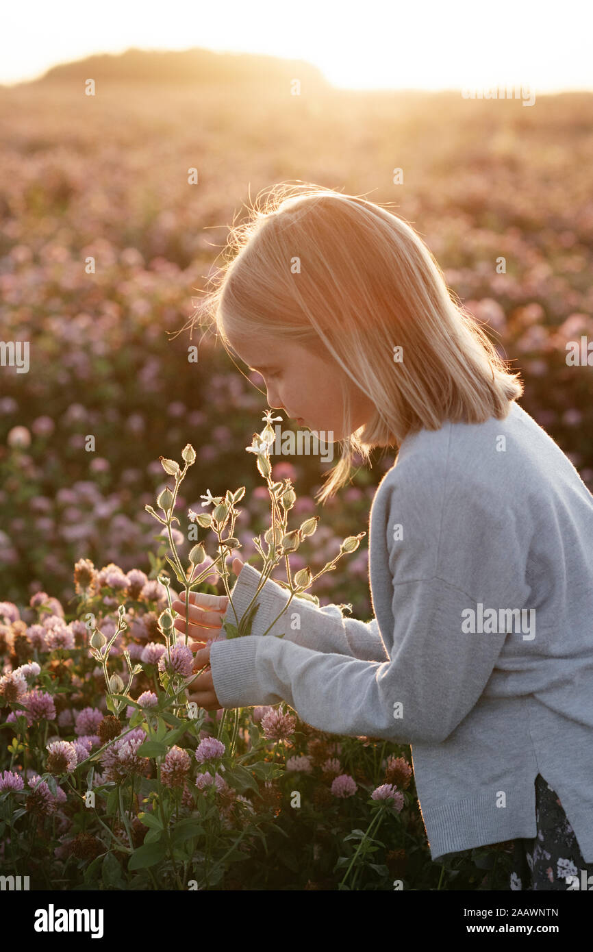 Girl smelling flowers in a clover field Stock Photo
