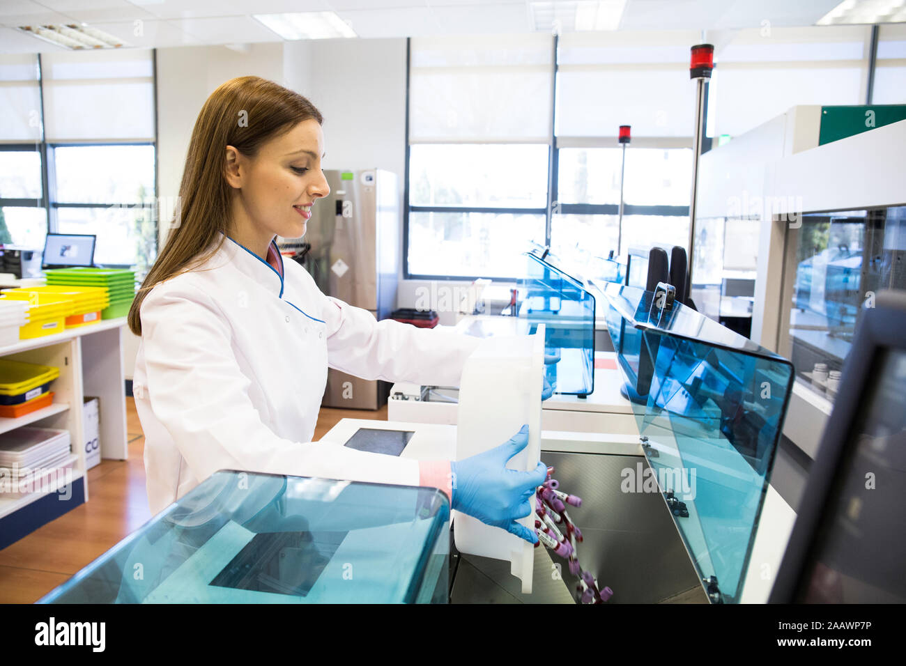 Side view of young woman in lab coat pouring vials of blood samples into refrigerator while working in research lab Stock Photo
