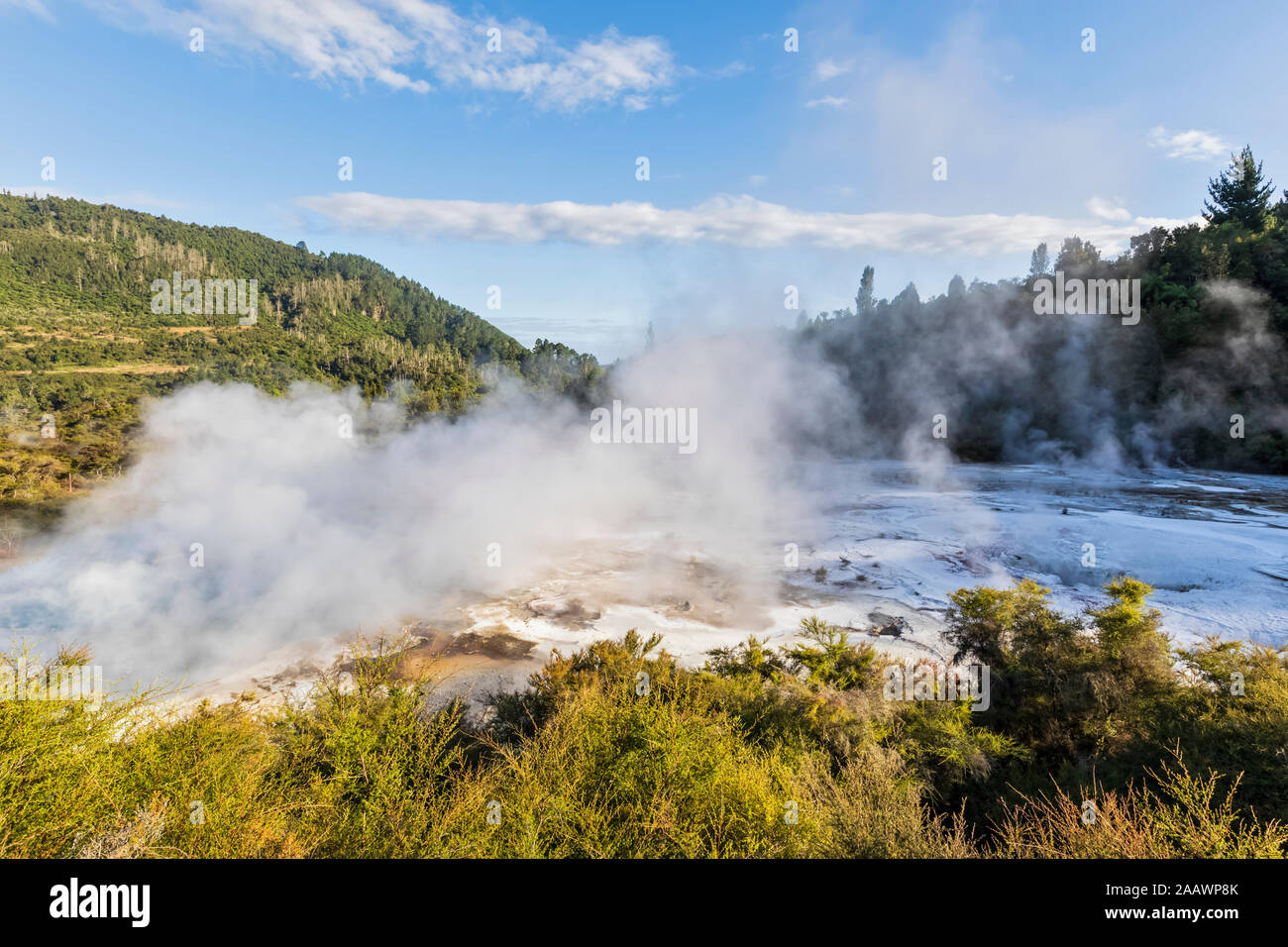 Artist´s Palette Lockout, Orakei Korako Geothermal Park, Taupo Volcanic Zone, North Island, New Zealand Stock Photo