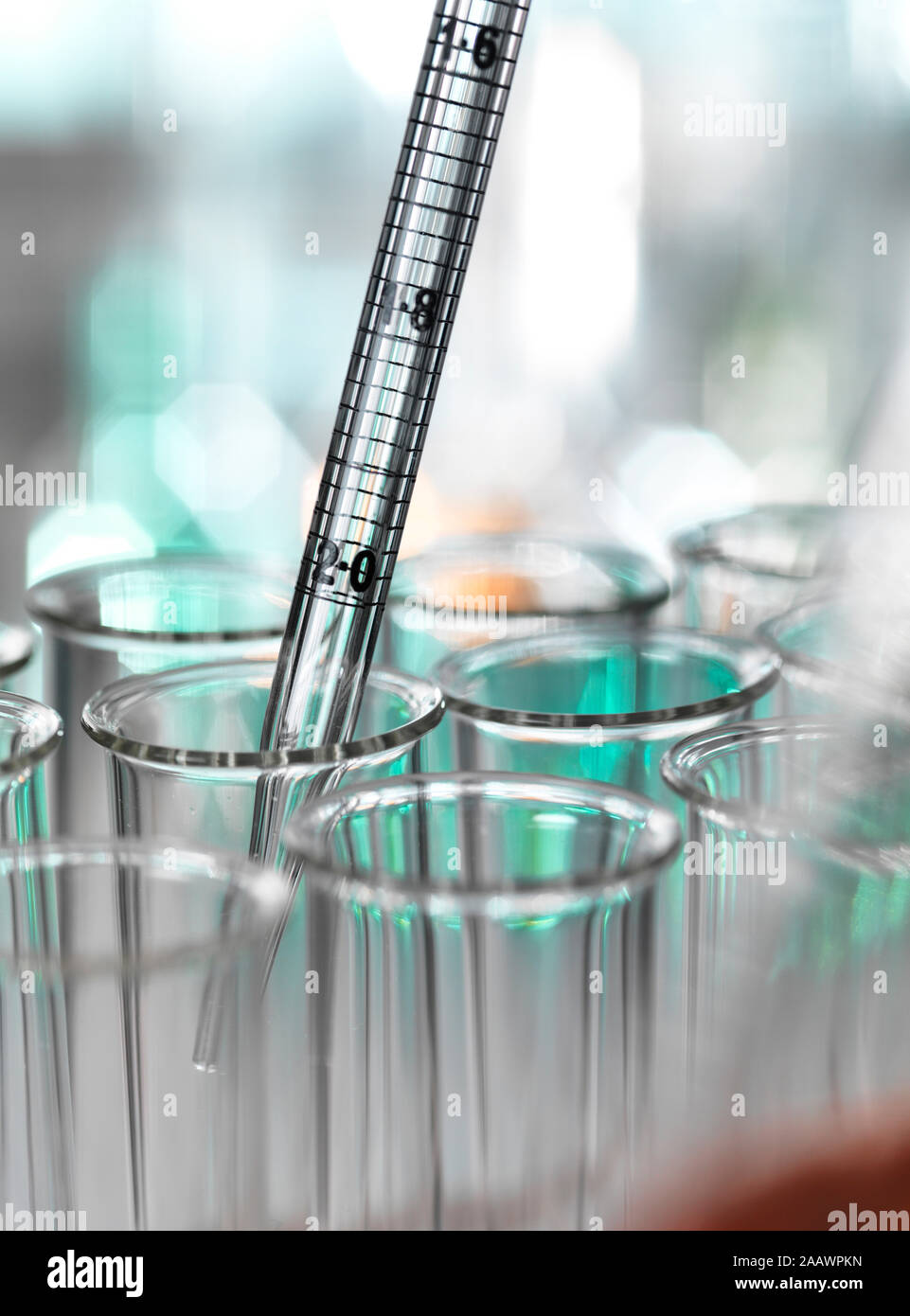 Medical samples pipetting in test tube for experiment at laboratory Stock Photo