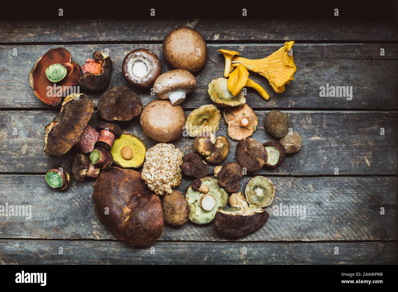 Directly above shot of various mushrooms on wooden table Stock Photo