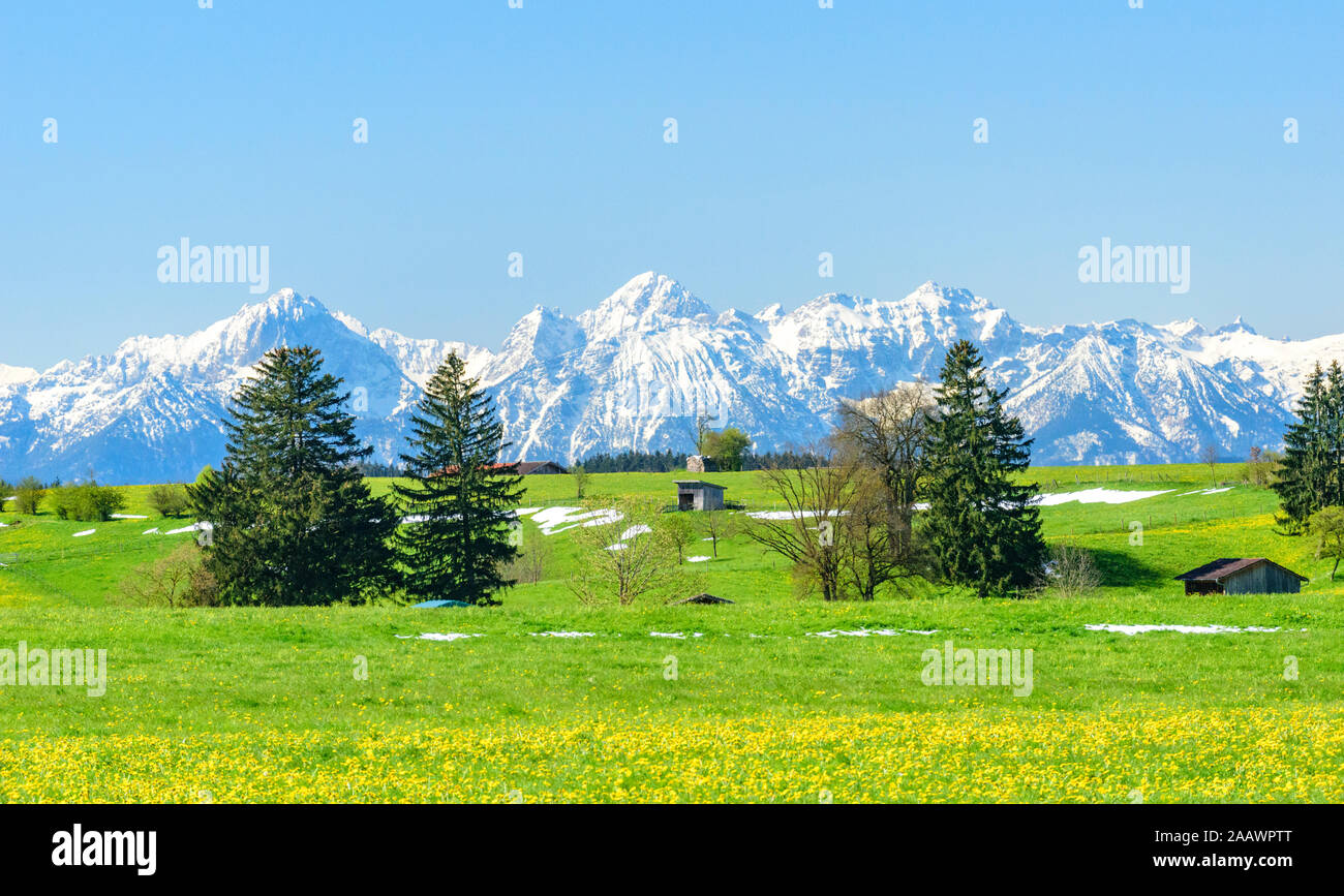 Early springtime nature in bavaria Stock Photo - Alamy