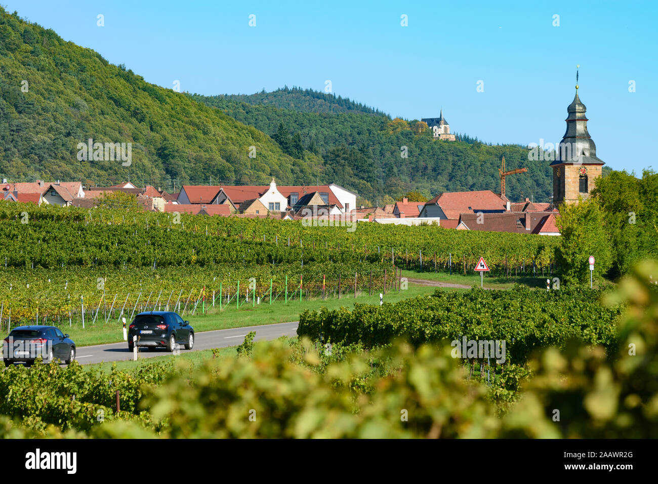 Frankweiler: vineyard, view to village Frankweiler, chapel St. Anna in Weinstraße, German Wine Route, Rheinland-Pfalz, Rhineland-Palatinate, Germany Stock Photo