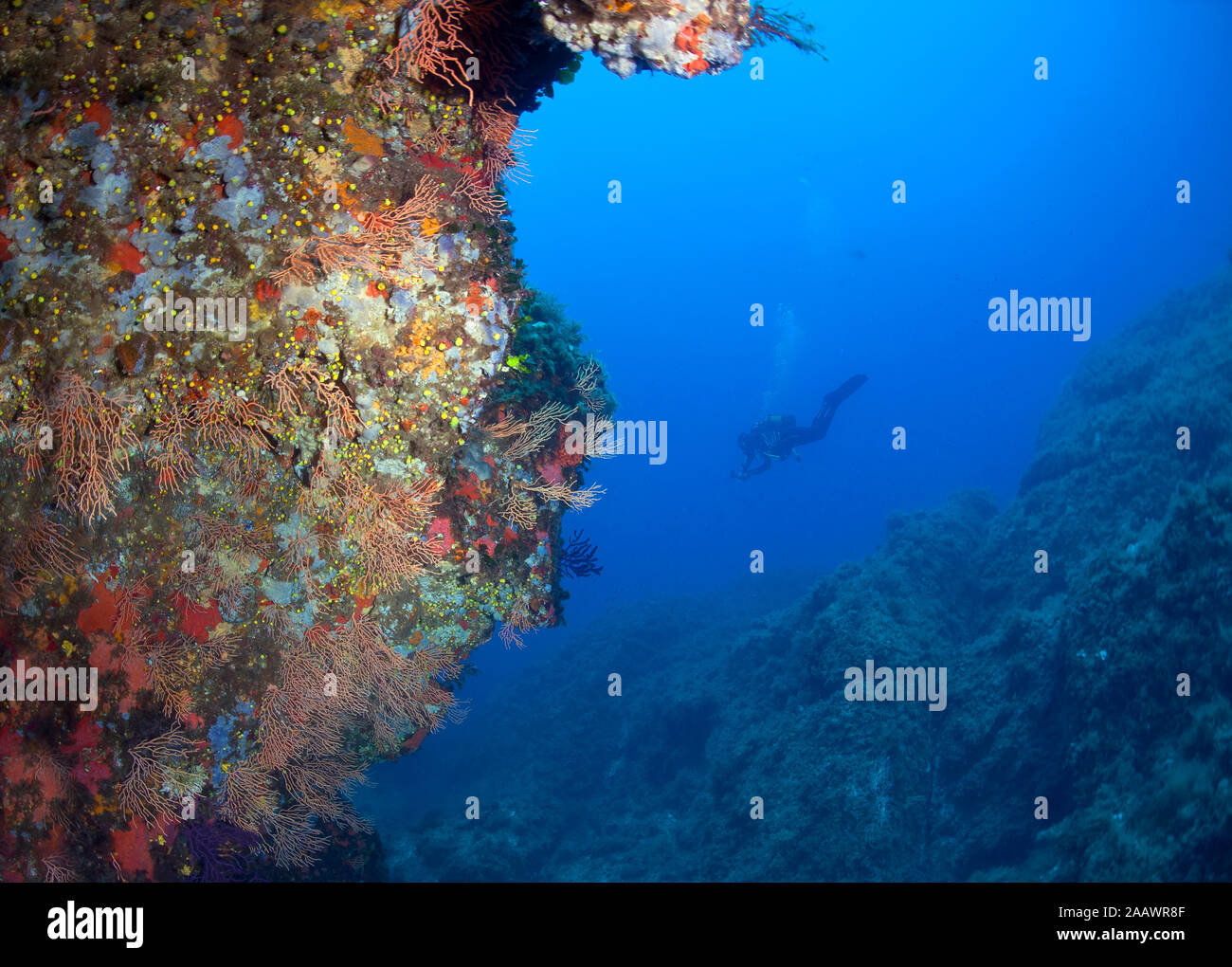 La Revellata reef at Calvi with diver in background at Corsica, France Stock Photo