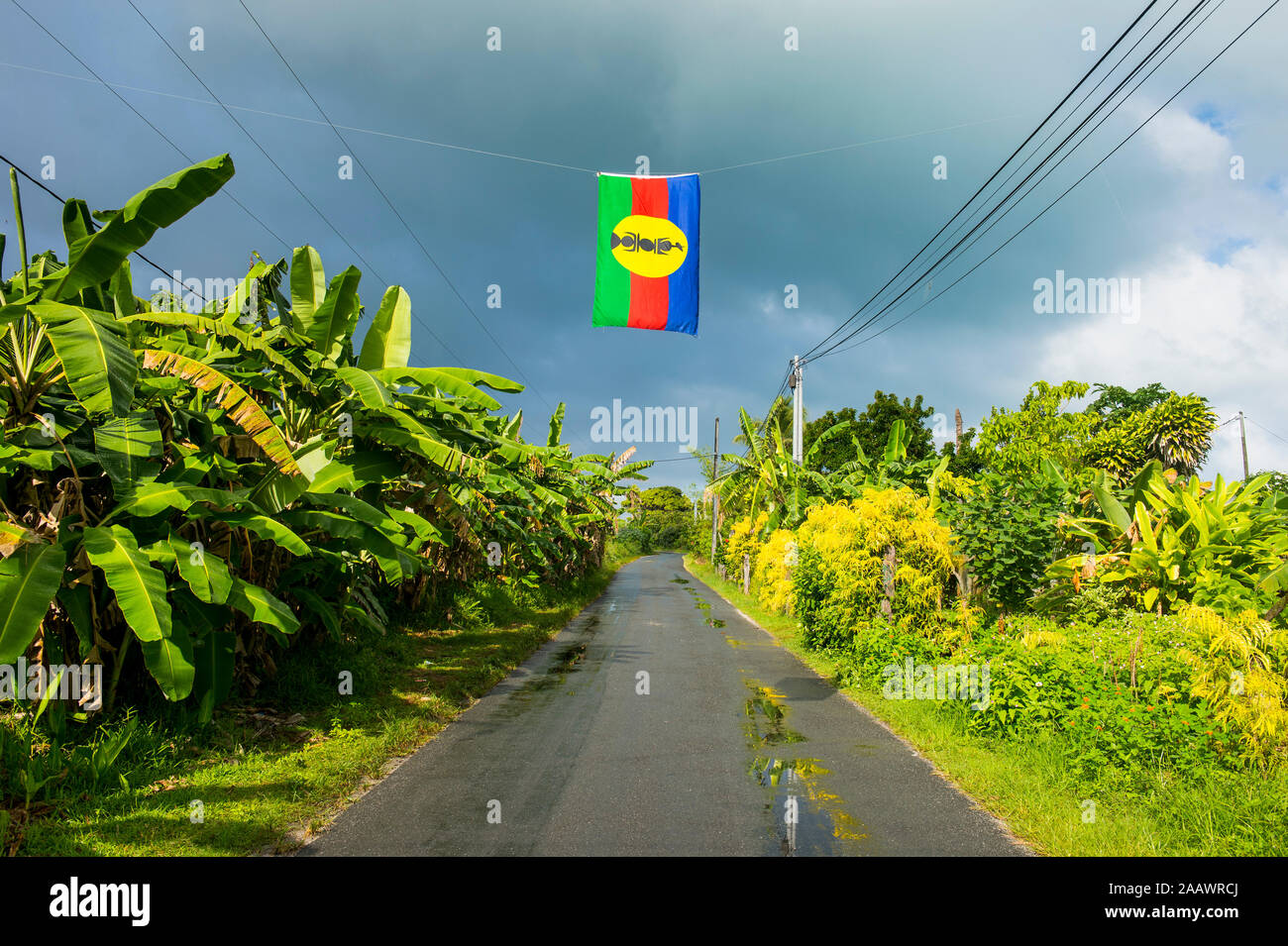 Karnak movement flag over road by trees in Ouvea, Loyalty Islands, New Caledonia Stock Photo