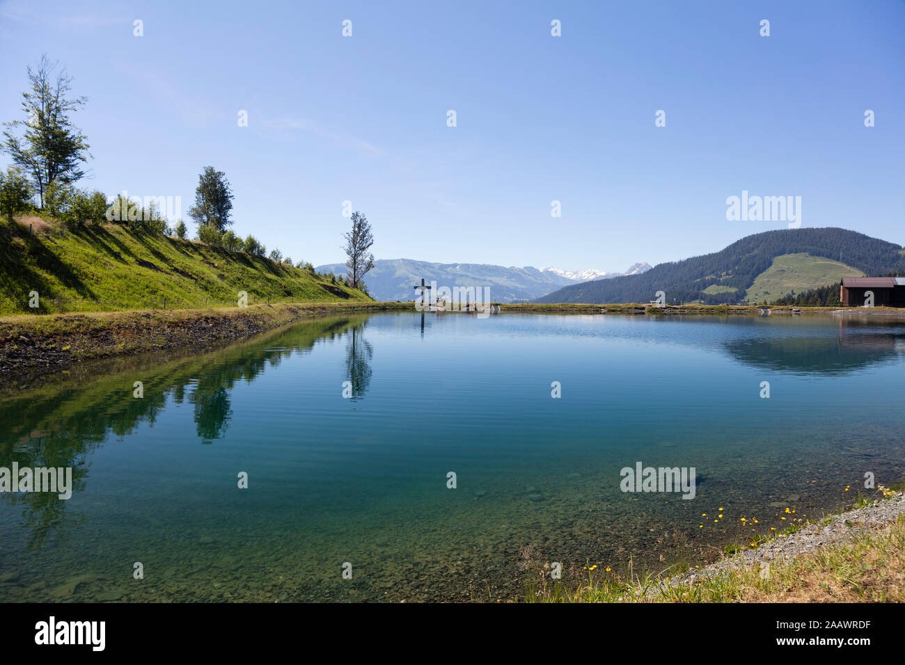Scenic view of Astbergsee lake against clear sky at Astberg, Kitzbühel, Tyrol, Austria Stock Photo