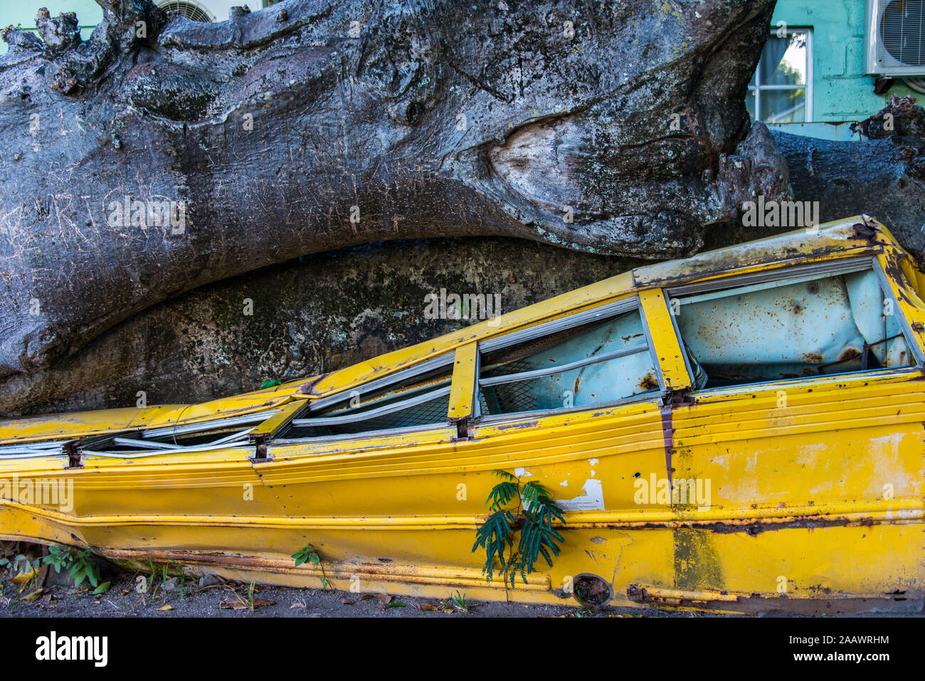 abandoned school bus crushed under tree trunk in botanical garden, Roseau, Dominica Stock Photo