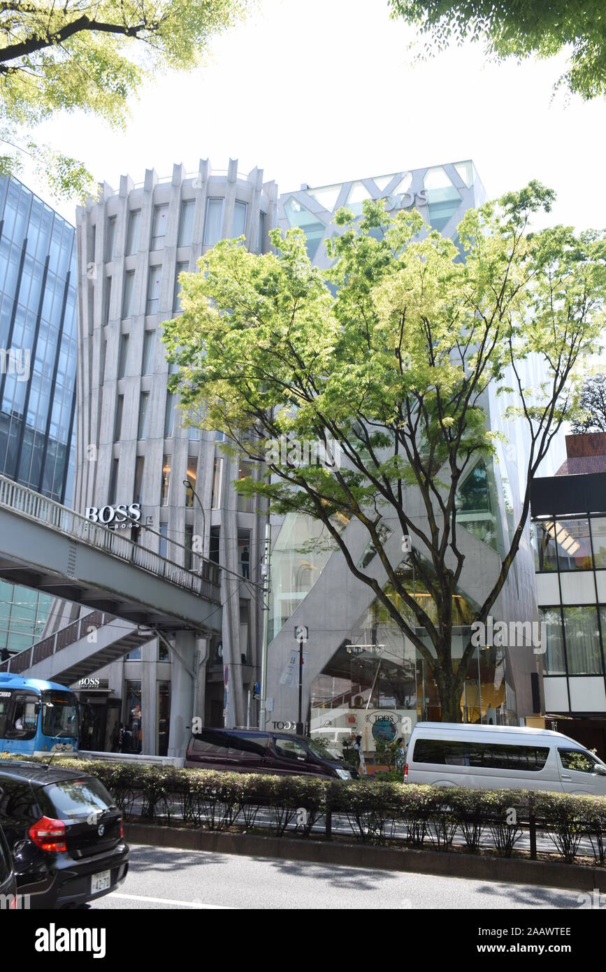 The exterior of Boss and Tod's flagship stores in Omotesando district ...