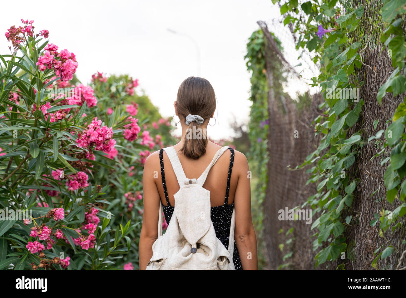 Back view of young woman with backpack strolling in a park Stock Photo ...