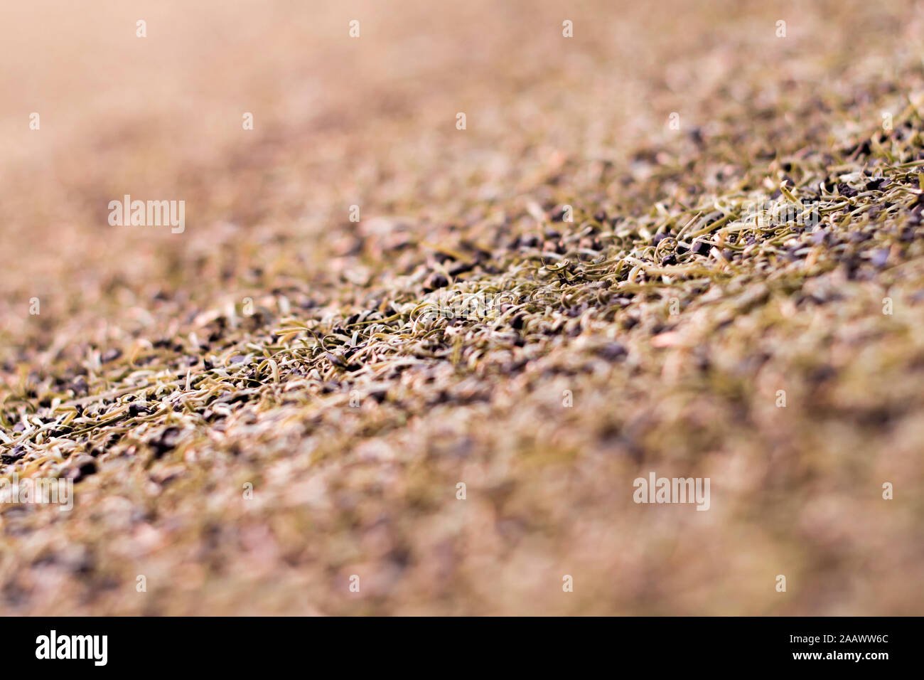 Texture of plastic artificial grass and the rubber pellets on school