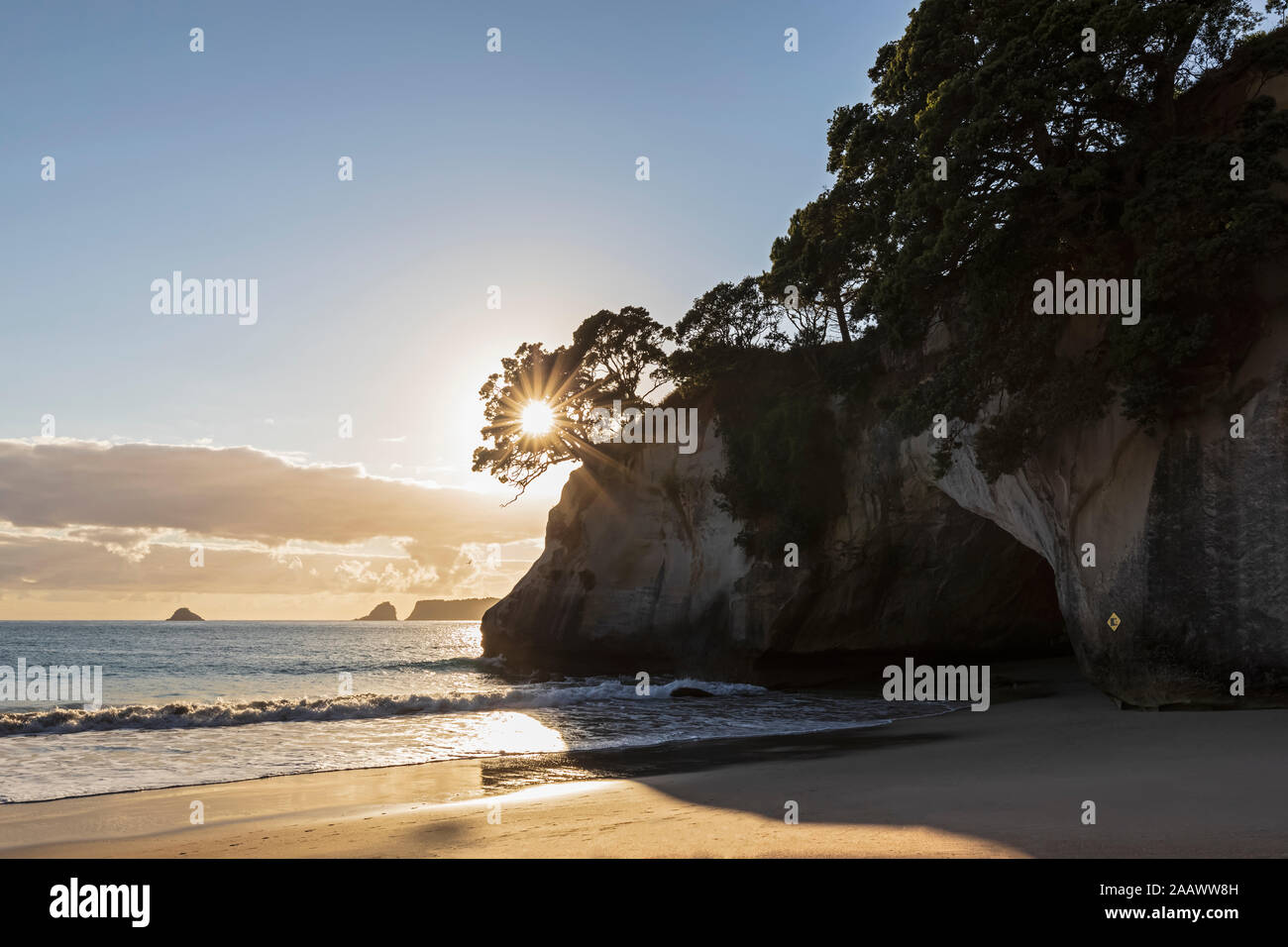 New Zealand, North Island, Waikato, seacoast at sunset Stock Photo