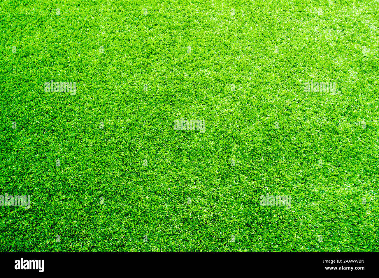 Texture of plastic artificial grass and the rubber pellets on school