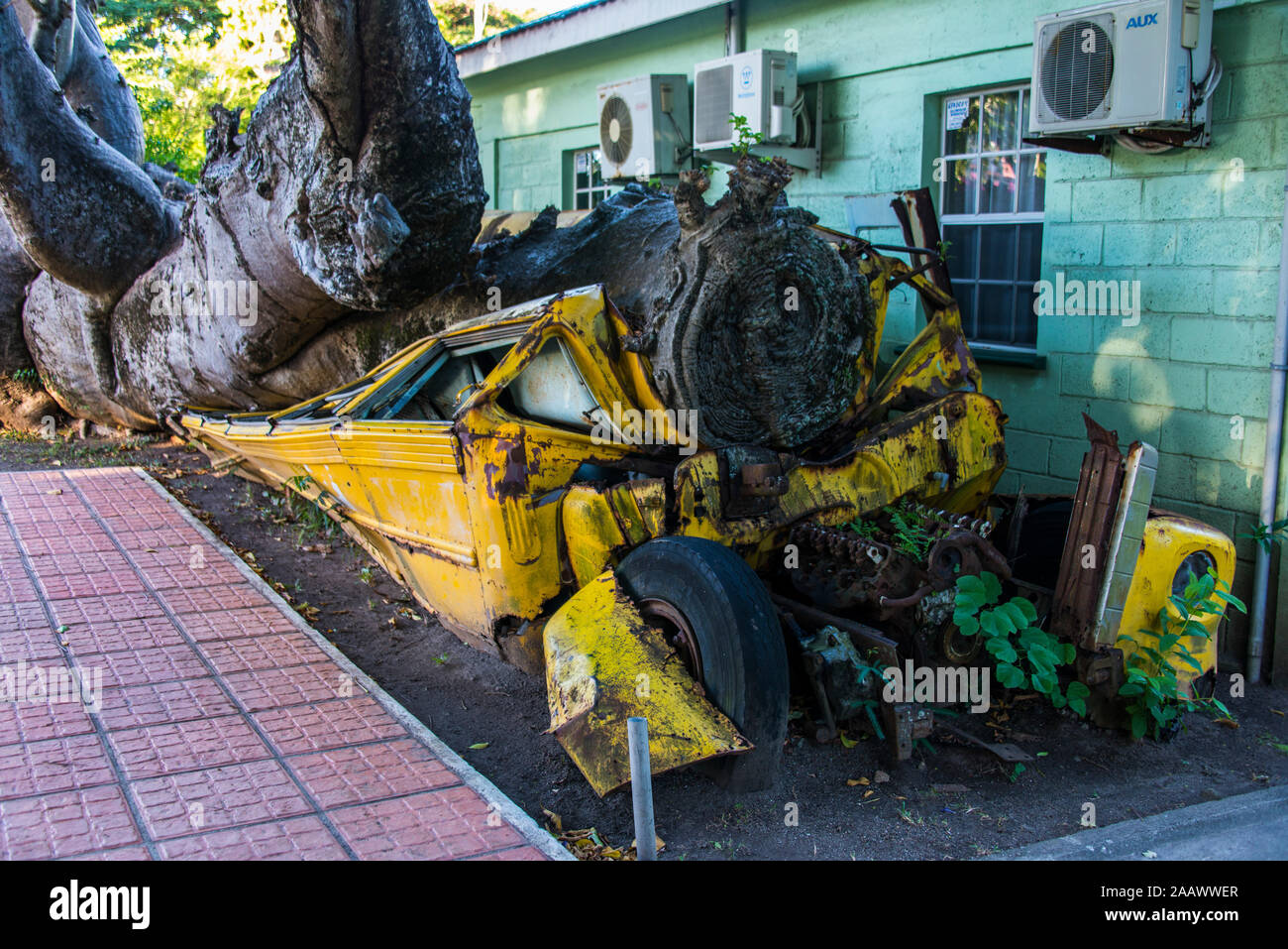 Old abandoned school bus crushed under tree trunk in botanical garden, Roseau, Dominica Stock Photo