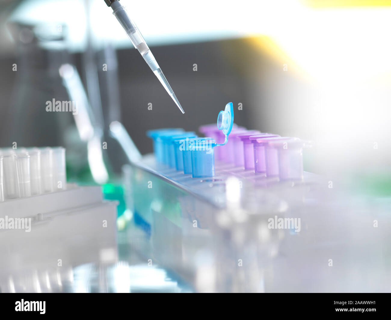 Samples being poured in test tube for research at laboratory Stock Photo
