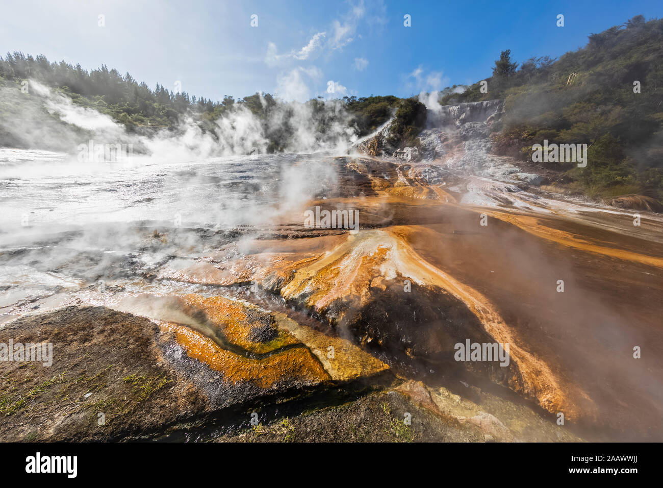 Hot Springs Algae and Terracettes and Emerald Terrace, Orakei Korako ...