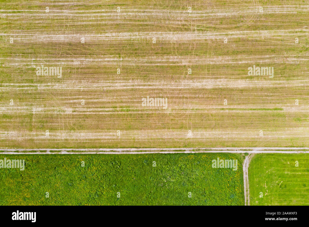 Aerial view of agricultural field, Beuerberg, Germany Stock Photo