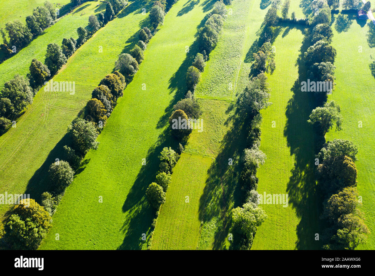 High angle view of Natural monument hedge landscape, Gaissach, Lenggries, Isarwinkel, Upper Bavaria, Bavaria, Germany Stock Photo