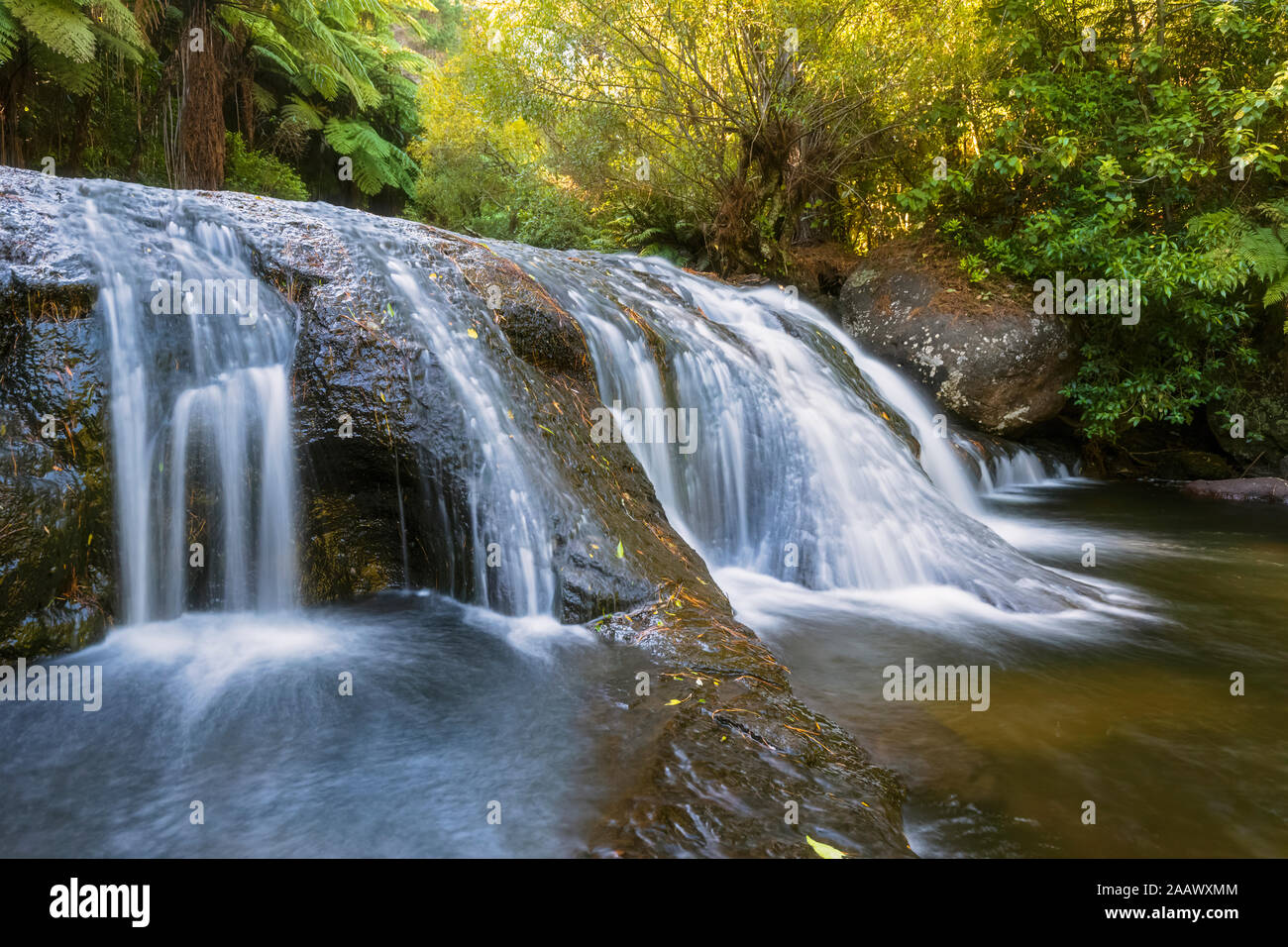 Kaiate Falls, Bay of Plenty, North Island, New Zealand Stock Photo