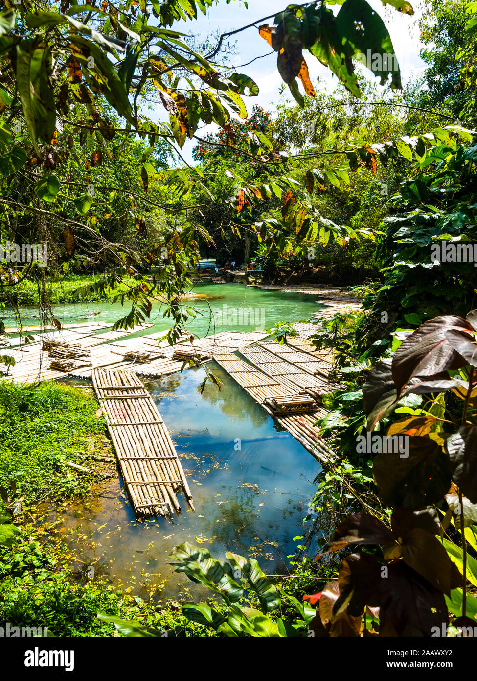 Jamaika, Region Montego Bay, Rafting Village, Martha Brae river, bamboo rafts Stock Photo