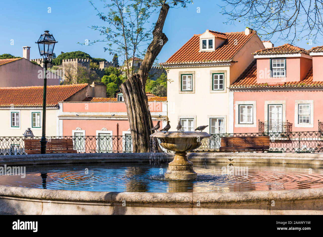 Pigeons perching at water fountain in Lisbon, Portugal Stock Photo