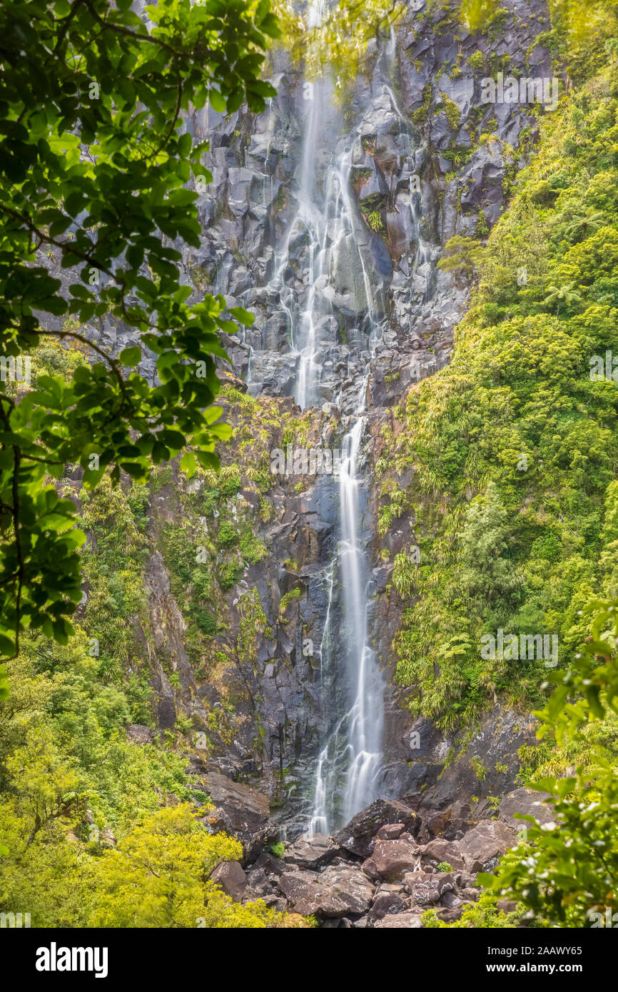 Scenic view of Wairere Falls in forest at North Island New Zealand Stock Photo