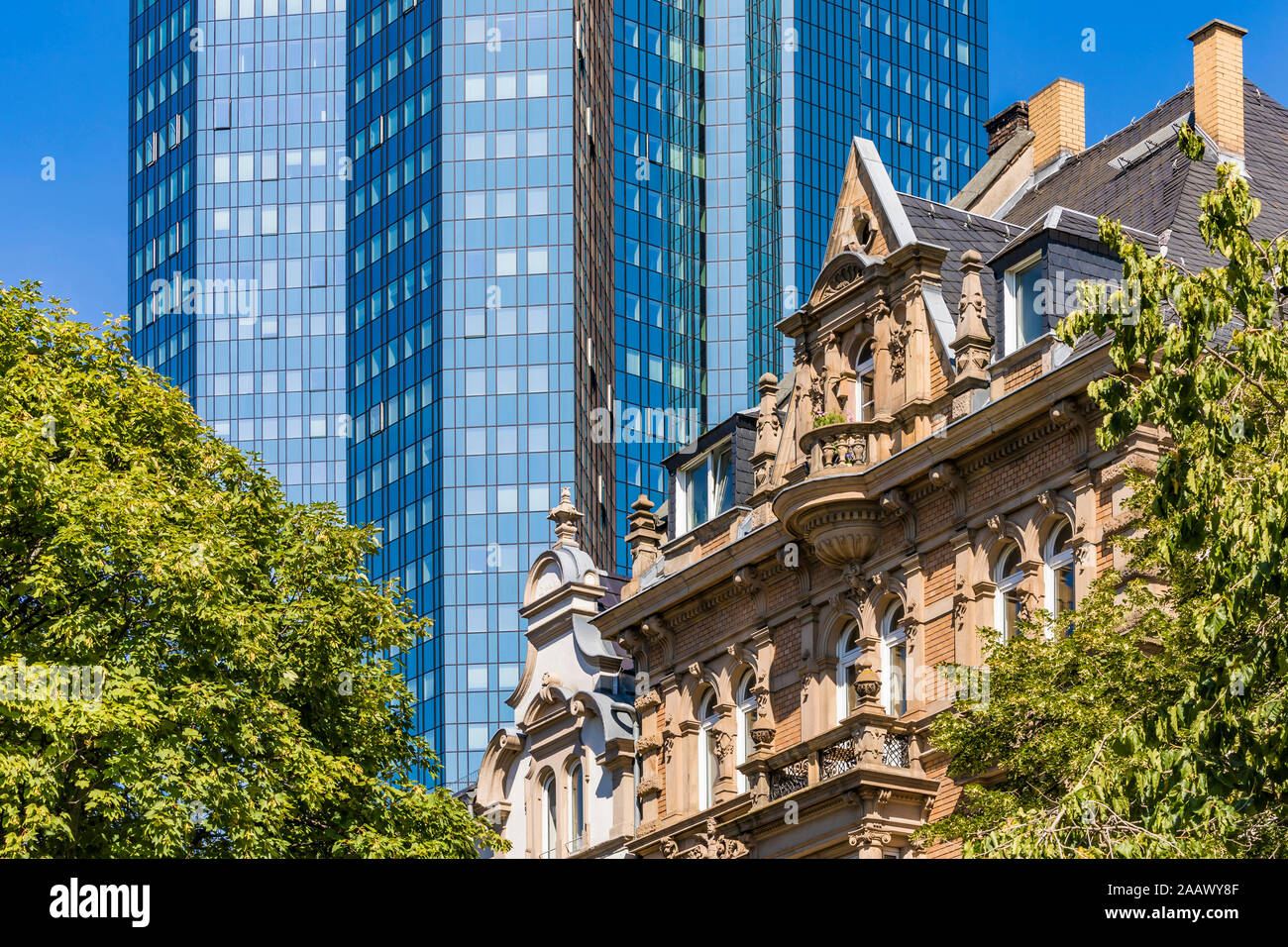 Low angle view of buildings and trees in Frankfurt, Germany Stock Photo