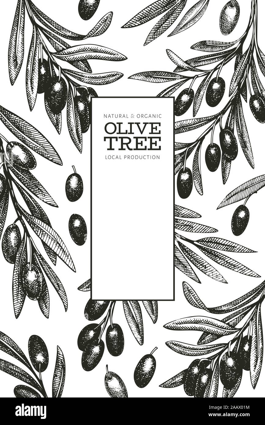 Olive branch design template. Hand drawn vector food illustration ...