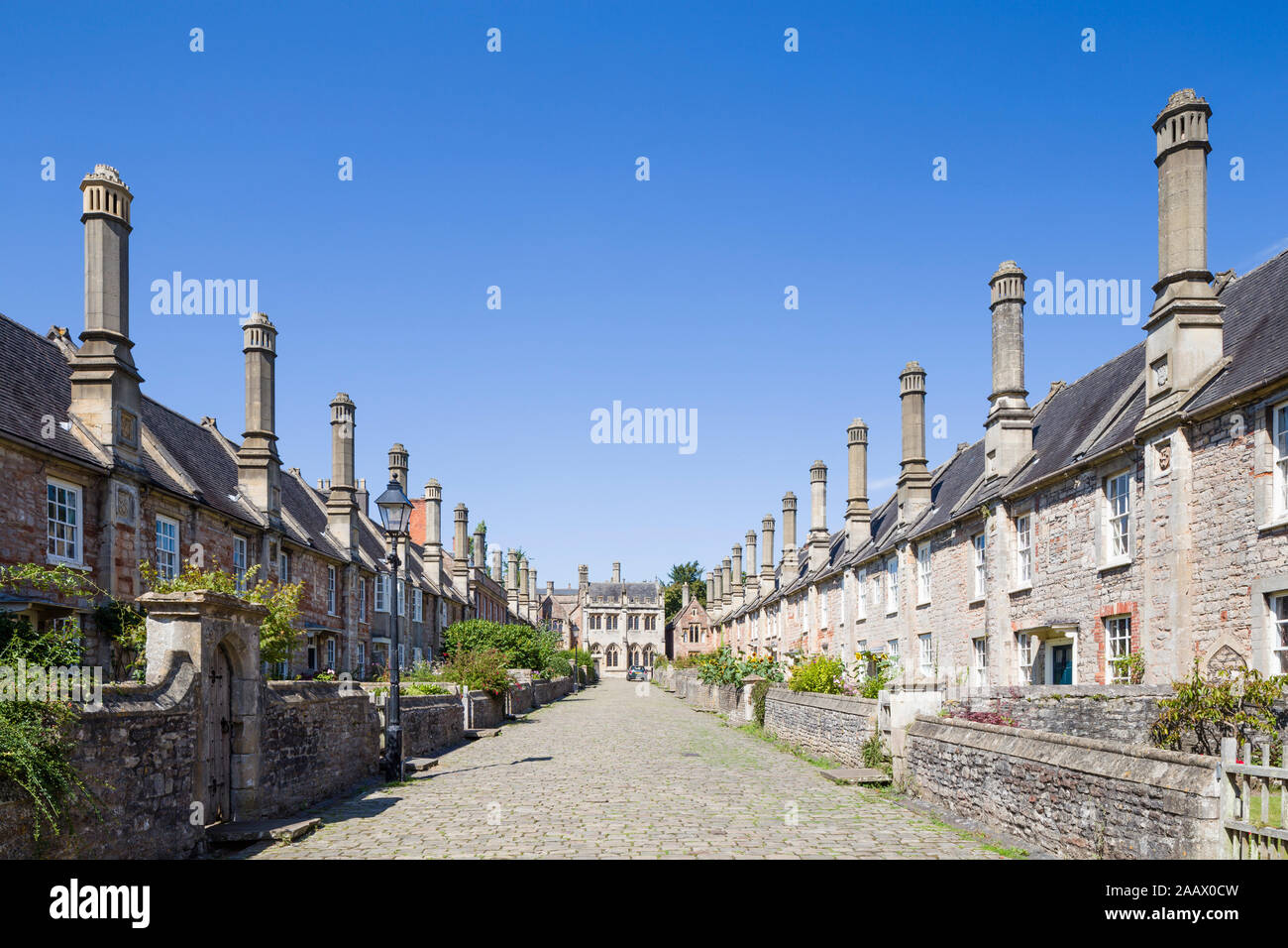 Vicar's Close, Wells, Somerset, UK. A historic 15th-century planned street of terraced houses linked to the medieval cathedral. Stock Photo