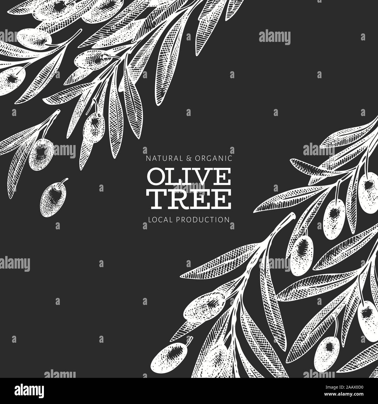 Olive branch design template. Hand drawn vector food illustration on ...