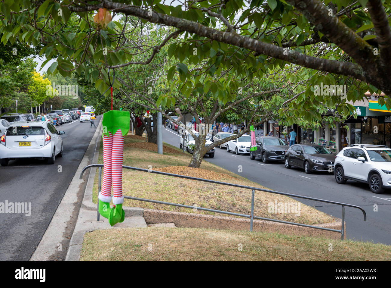 Christmas stocking hanging from a tree in the village of Leura, Blue