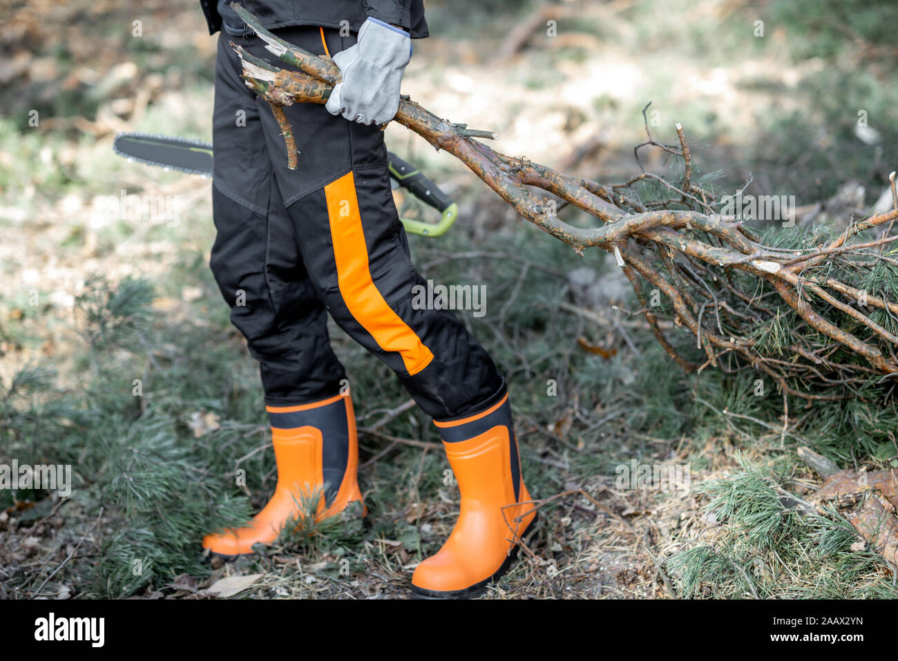 Lumberjack in protective workwear carrying tree branches while logging in the forest, close-up with no face Stock Photo