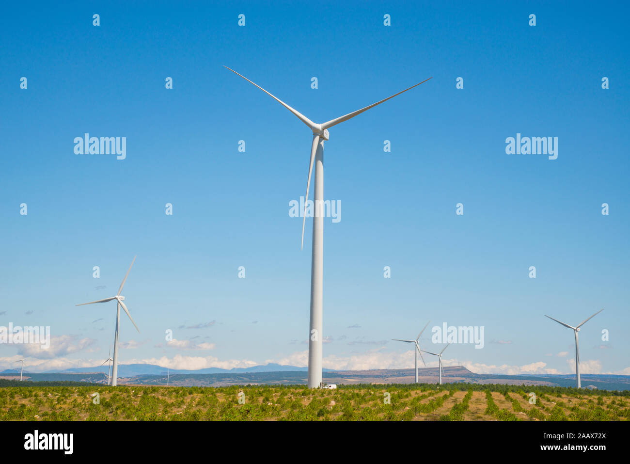Wind farm. Paramo de masa, Burgos province, Castilla Leon, Spain. Stock Photo