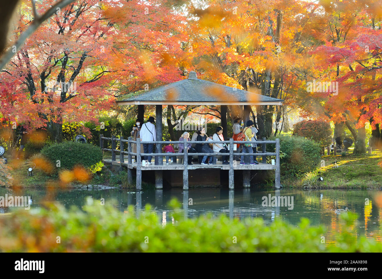 Kyoto Botanical Gardens In Kyoto Japan Stock Photo Alamy