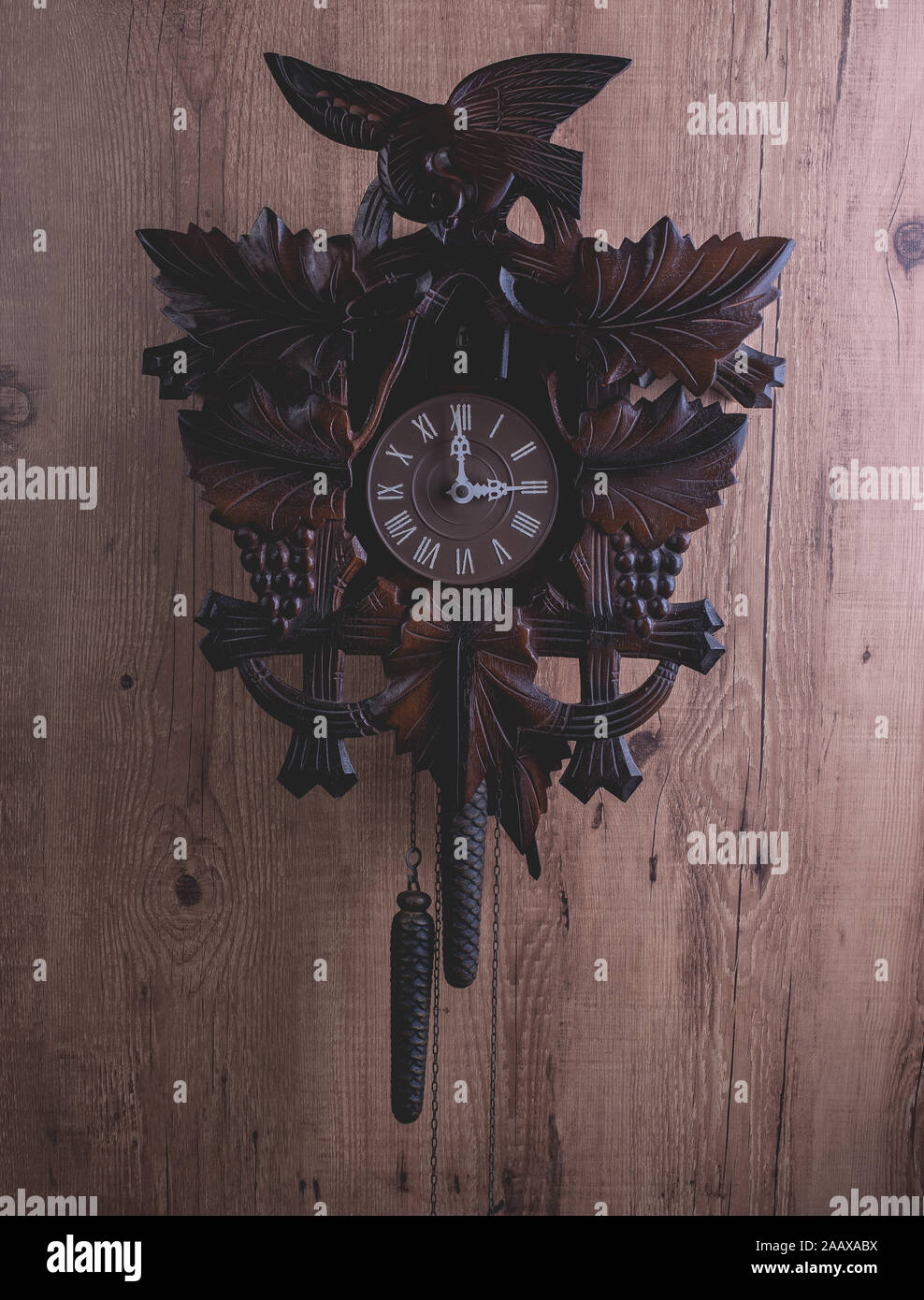 Cuckoo clock hanging on a rustic wooden wall Stock Photo