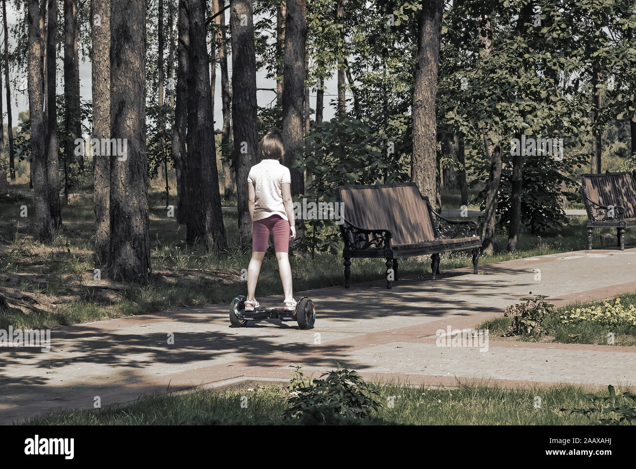 Girl riding in the Park on a selfbalancing scooter Stock Photo Alamy