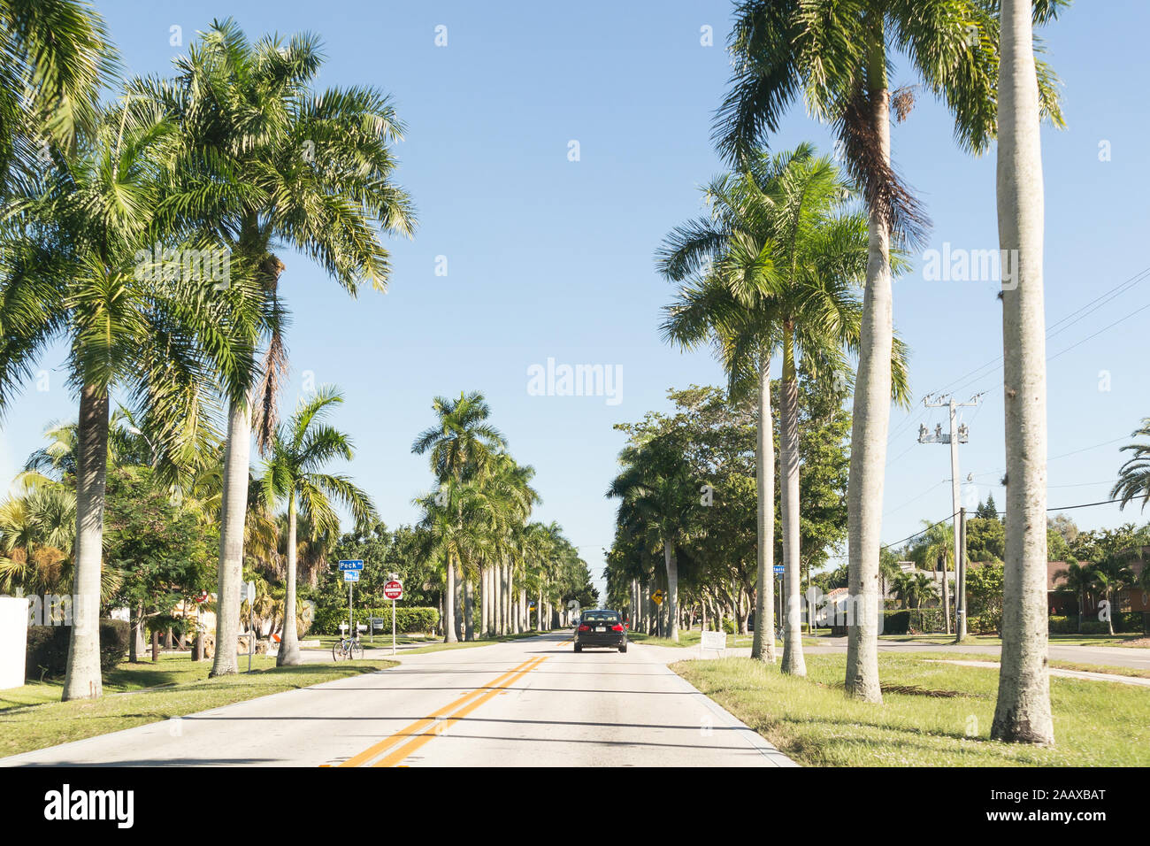 Traffic and palm trees on McGregor Boulevard in Fort Myers, Florida, USA Stock Photo