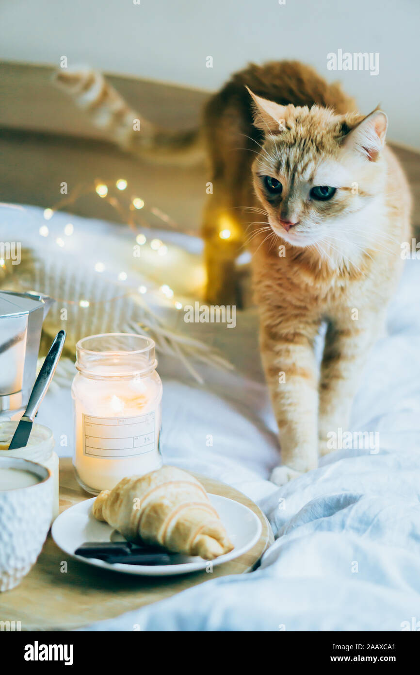 Cozy Winter Weekend Breakfast Coffee And Croissant On Wooden Tray
